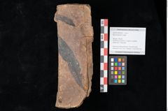 Foto (Objekt + Etikett) von Myrica lignitum Unger (NHMW-GEO-2024-0188-0520)